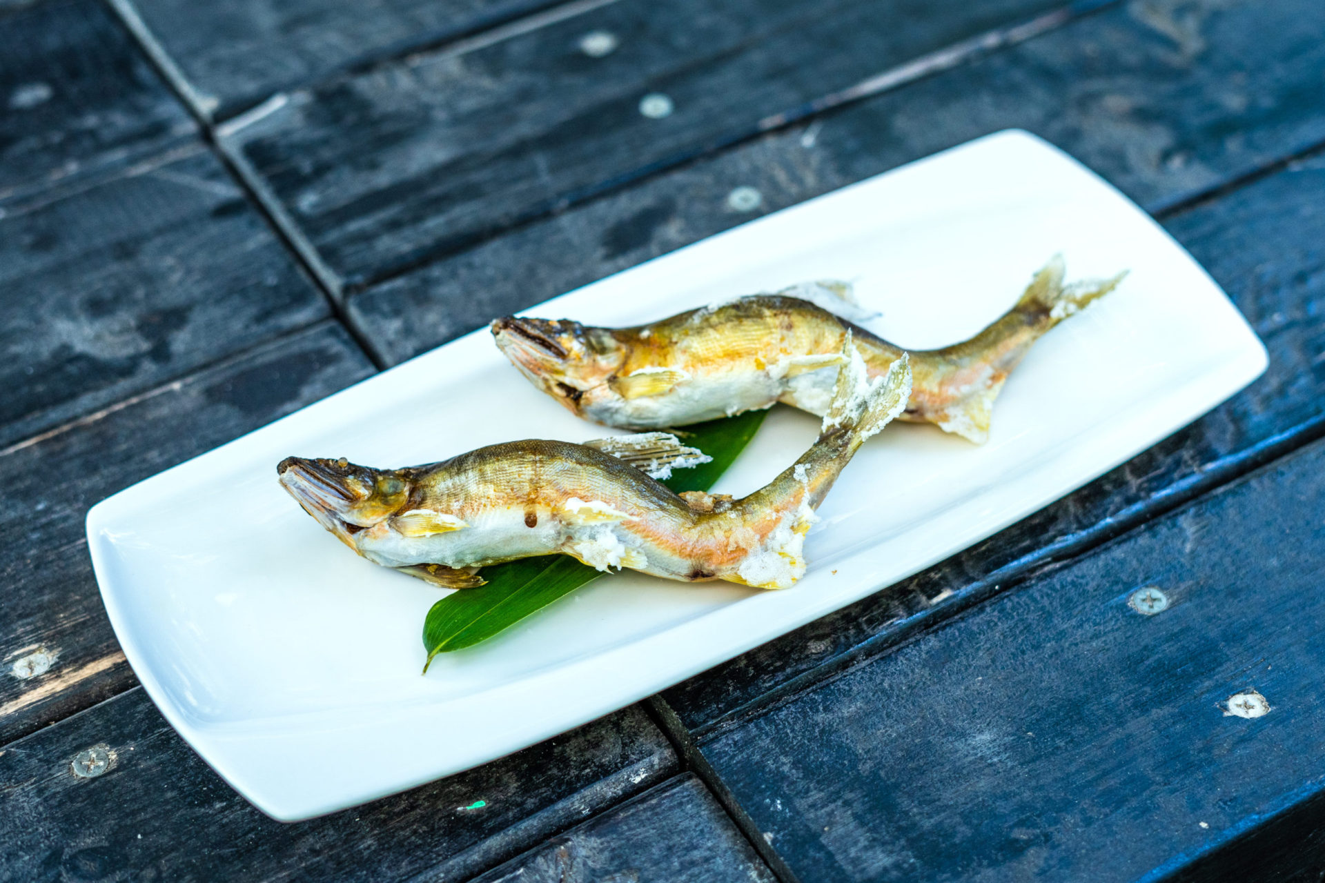 Interview with a salt grilled Ayu master in Gujo! image