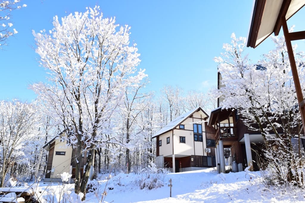 Welcome to our snow resort, Gujo!のイメージ