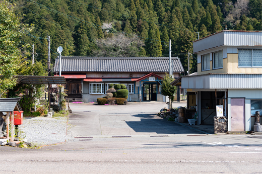 国道156号線沿いの桜並木img30