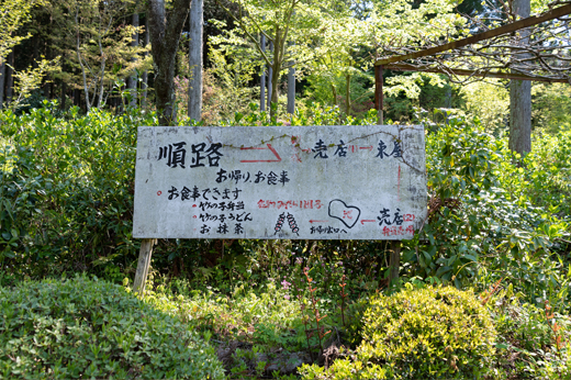 桂昌寺のぼたん園img42