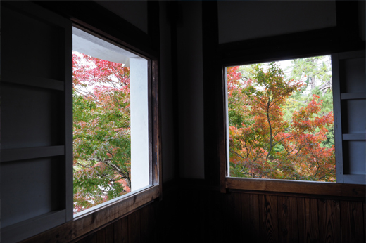 Autumn Leaves at Gujo Hachiman Castleimg1