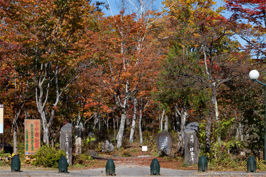 分水嶺公園の紅葉img11