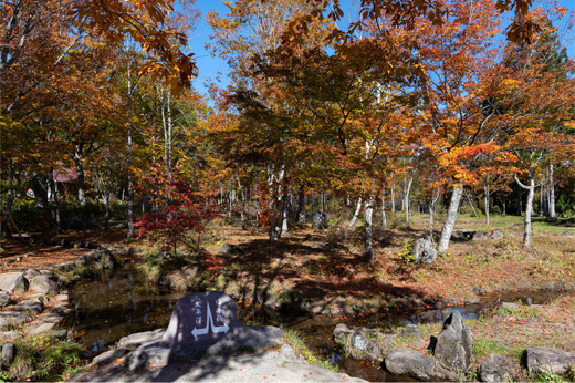 牧分水嶺公園の紅葉img12