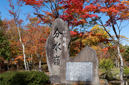 分水嶺公園の紅葉img13