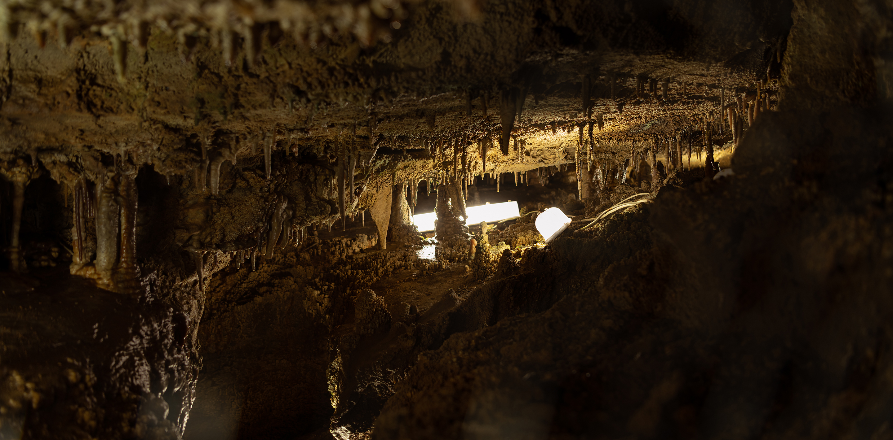 Otaki Limestone Cave, Jomon Cave