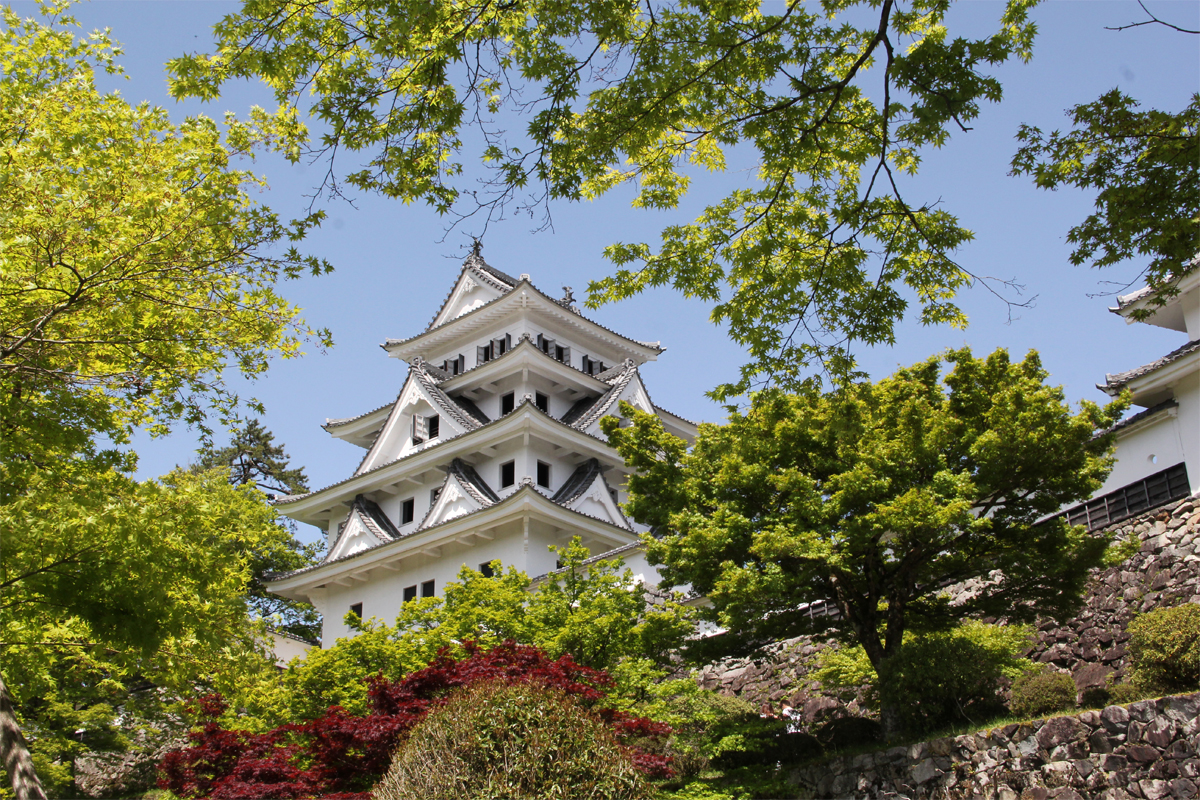 Gujo Hachiman Castle02