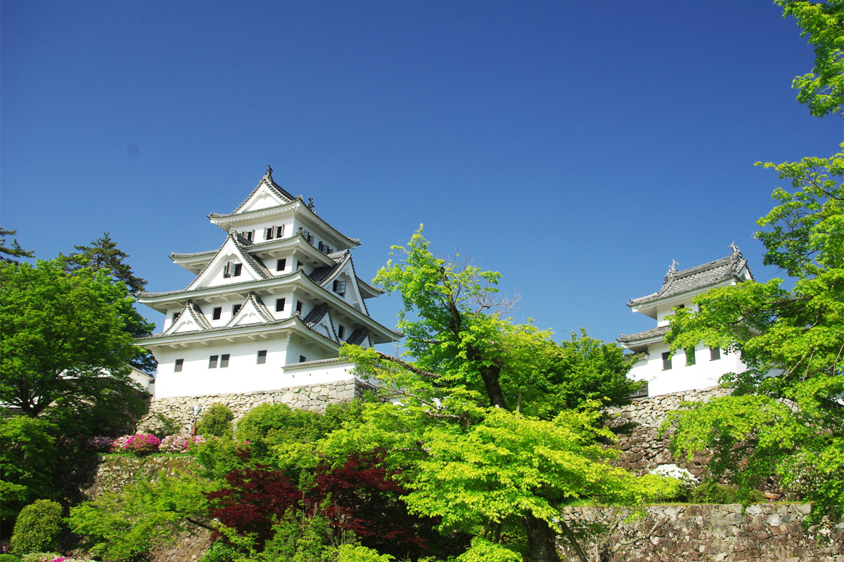 Gujo Hachiman Castle08