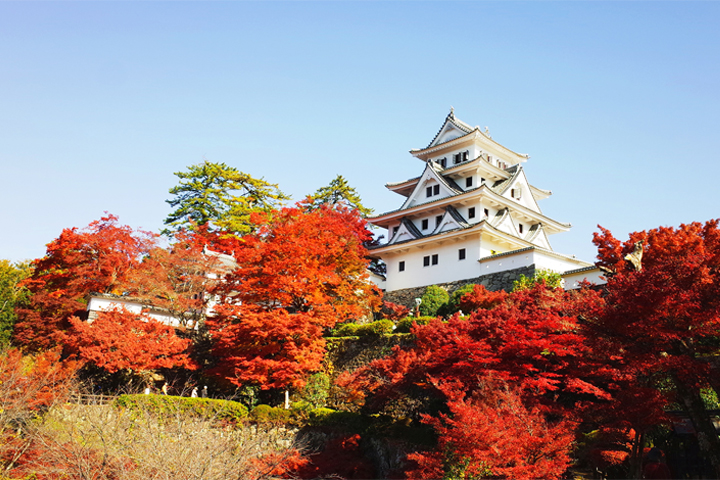 Gujo Hachiman Castle02-3