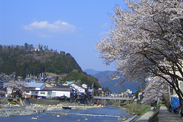 Seeing Gujo Hachiman Castle fromYoshidagawa Waterpath