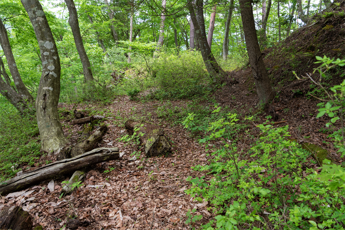 Remains of Shinowaki Castle08