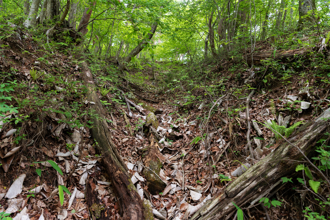 Remains of Shinowaki Castle09