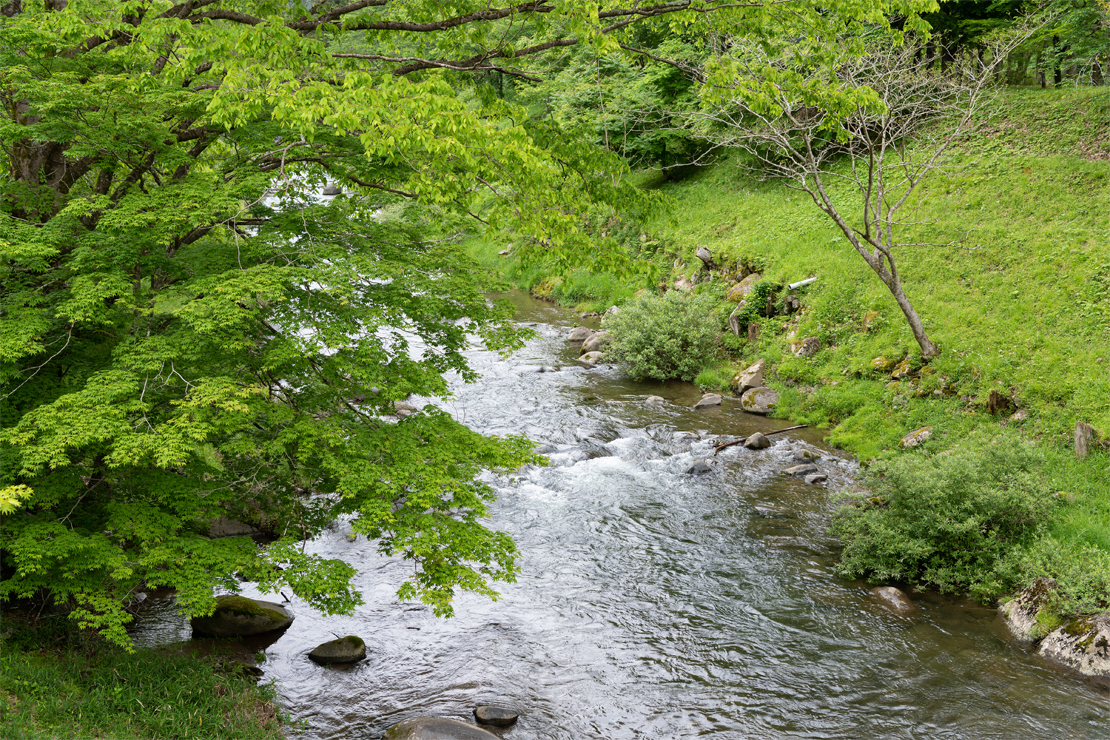 Remains of Shinowaki Castle12