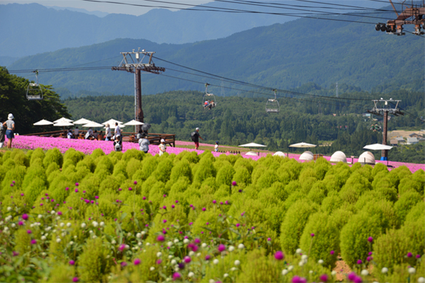 Hirugano Picnic Garden01