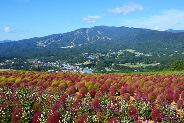 Hirugano Picnic Garden02