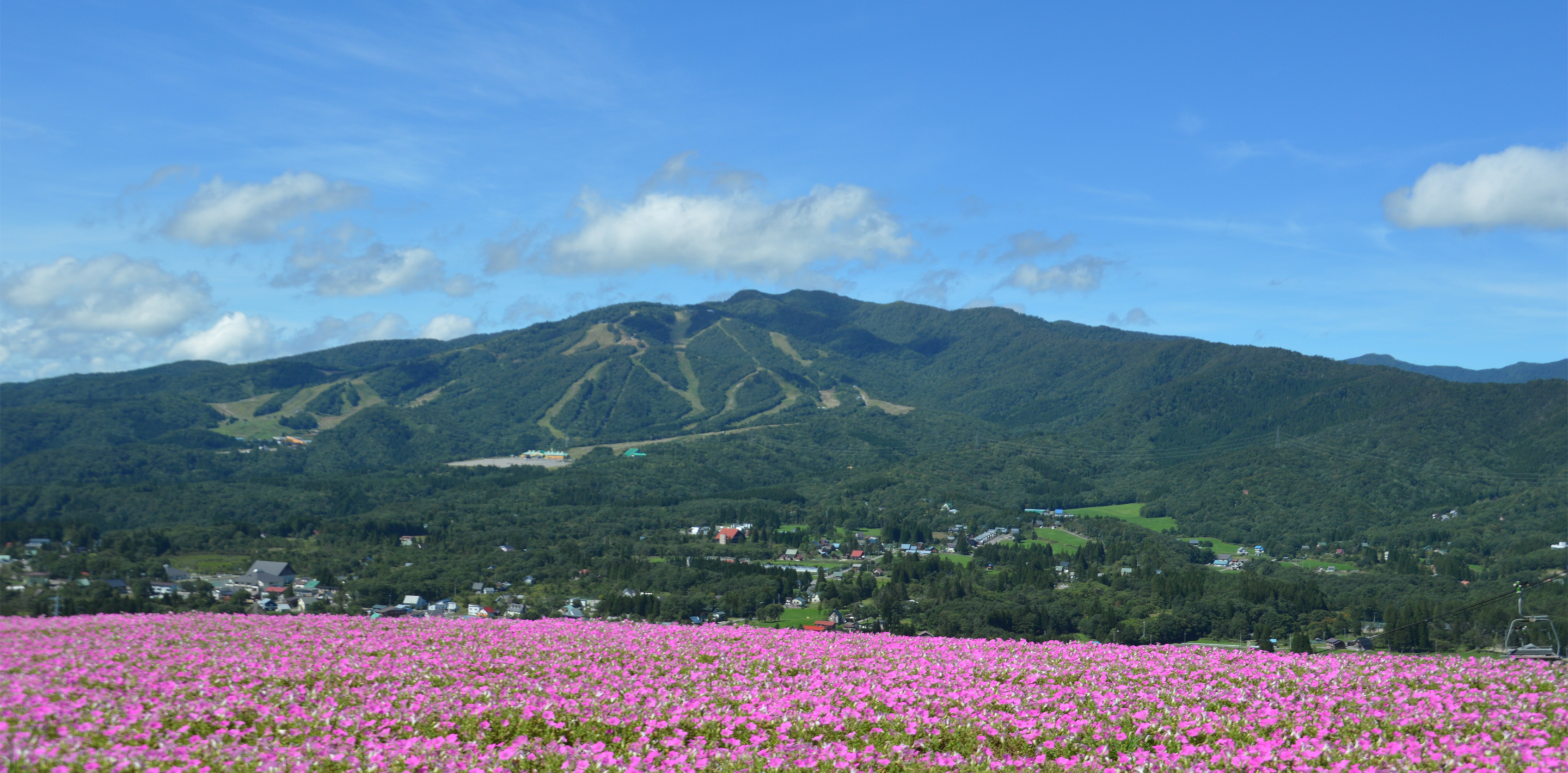 グリーンシーズン限定の高原リゾート「Hirugano Picnic Garden」