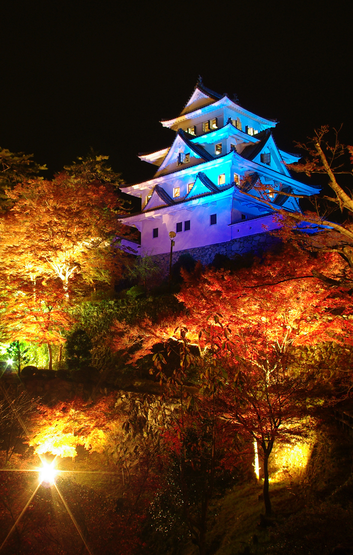 Autumn：The maple trees with the white castle tower