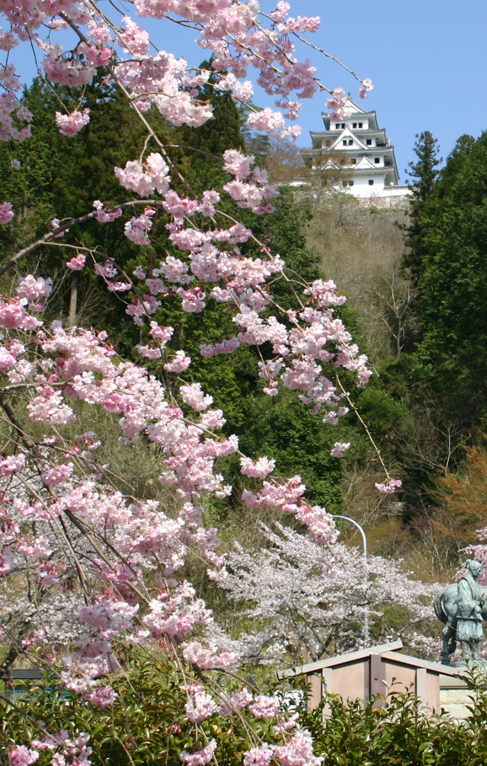 Spring：The best spot of cherry blossom