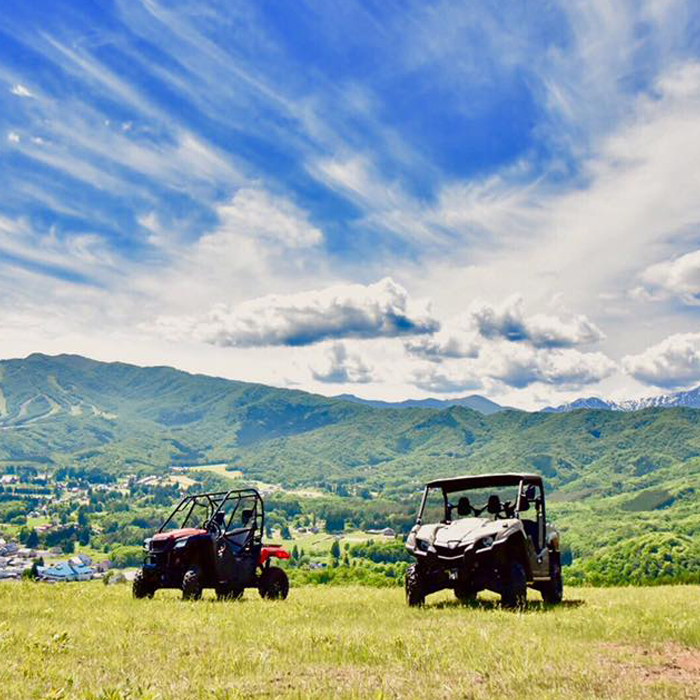 Mountaintop buggy for small children