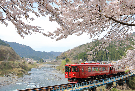 Nagaragawa Railway04