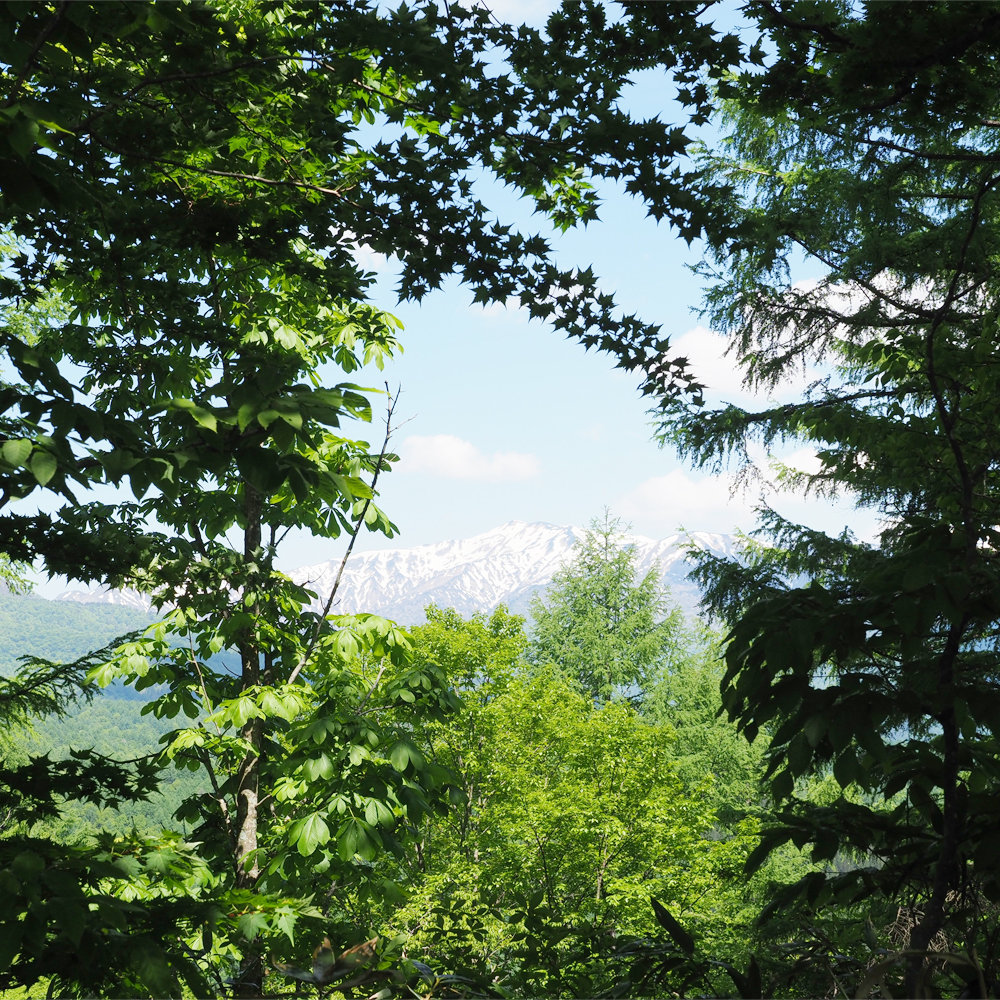 Let's climb Mt Dainichigatake! image