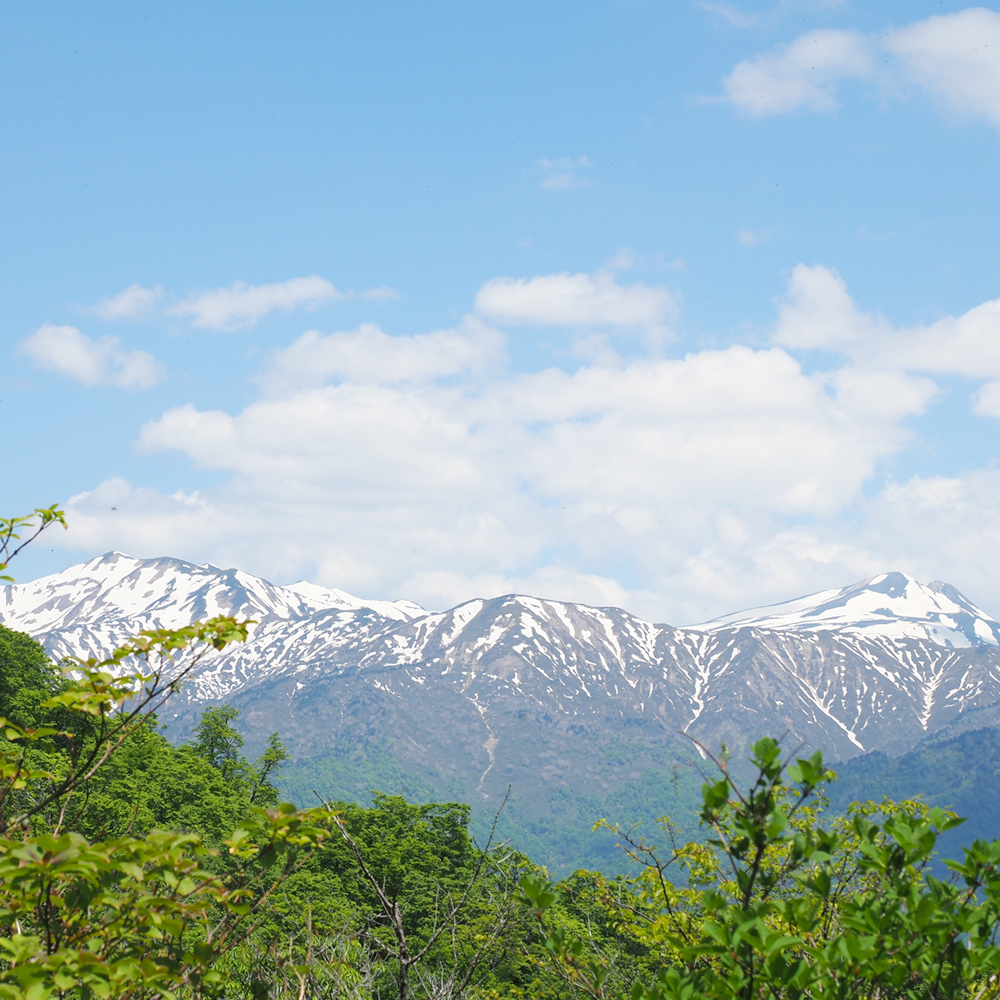 Let's climb Mt Dainichigatake! image