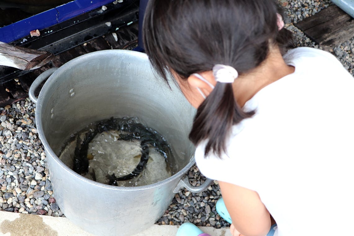 Outdoor Activity during Summer Vacation! Playing in River & “Yana” with Children!_03