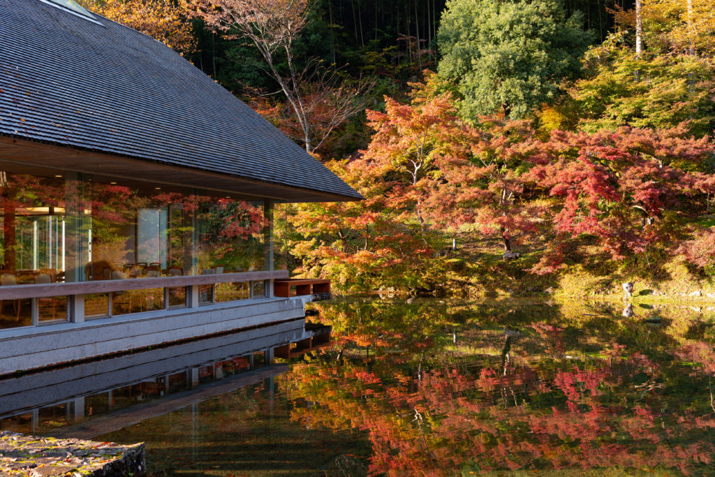 郡上のちょっと贅沢おすすめグルメスポット_12