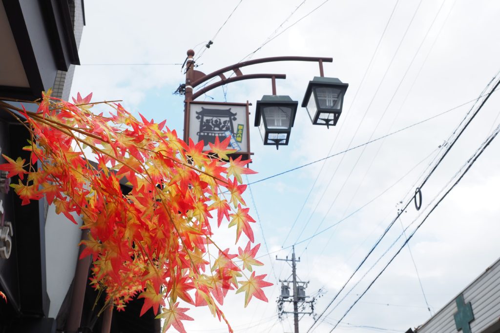 Little Kyoto, Autumn Leaf-peeping at Gujo Hachiman_24