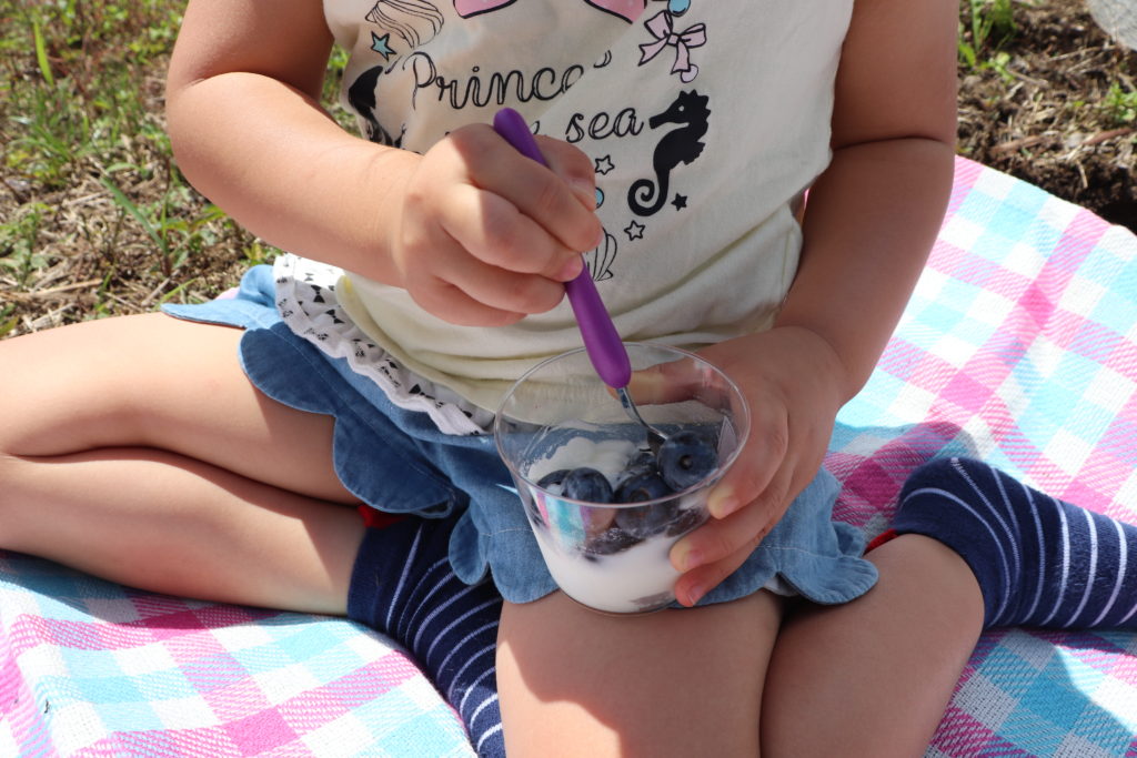 Enjoyable Blueberry Picking for Children & adult at Yamato area!12