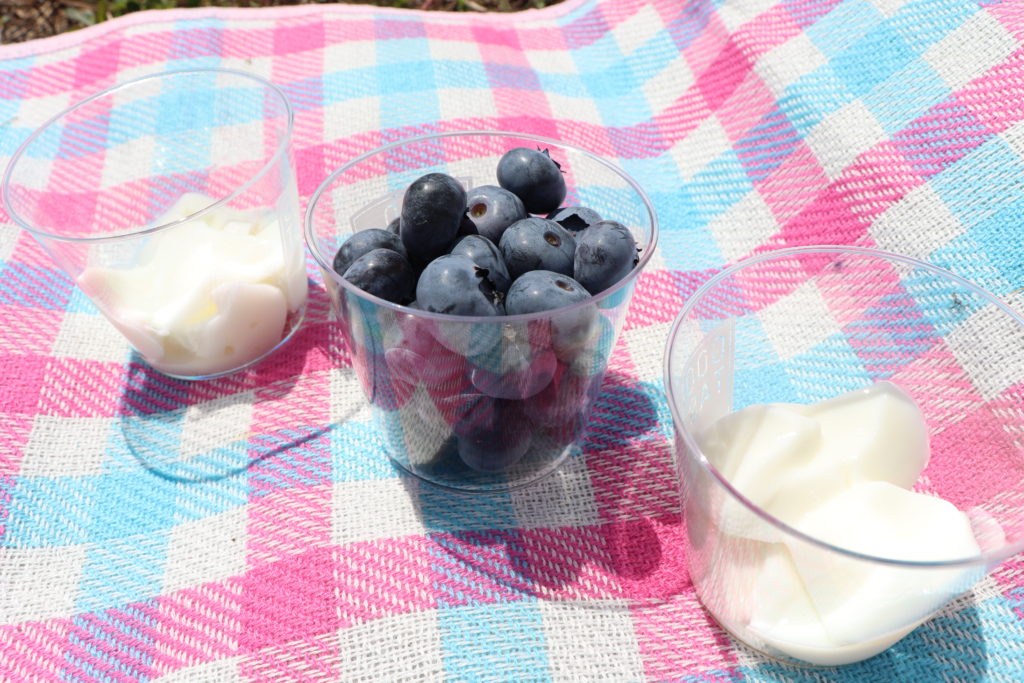 Enjoyable Blueberry Picking for Children & adult at Yamato area!13