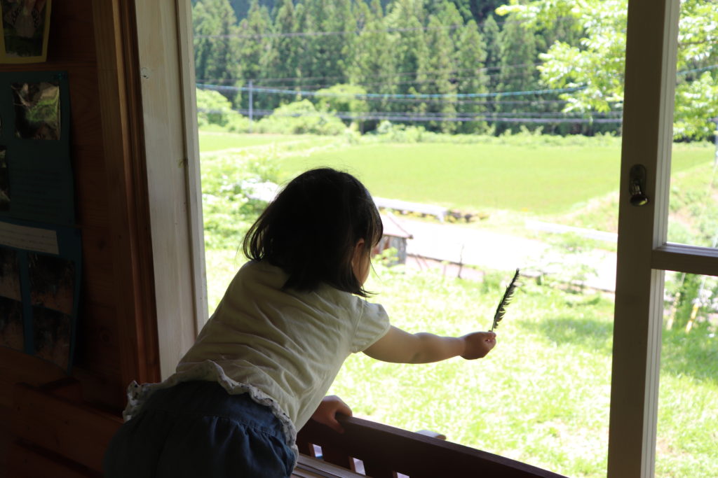 Enjoyable Blueberry Picking for Children & adult at Yamato area!25