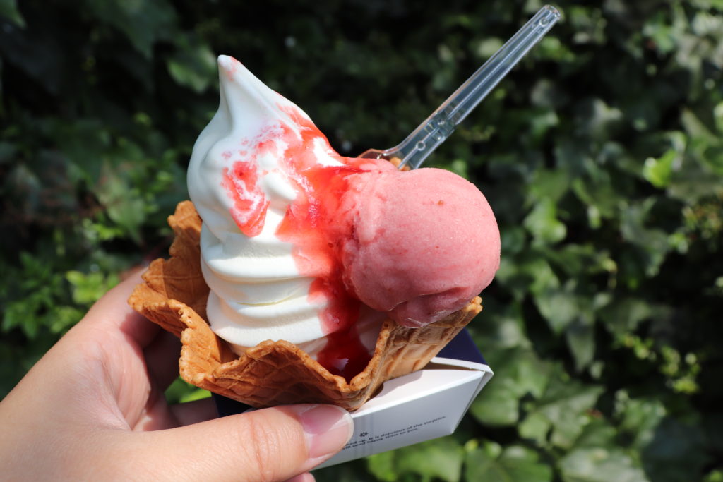 Enjoyable Blueberry Picking for Children & adult at Yamato area!34