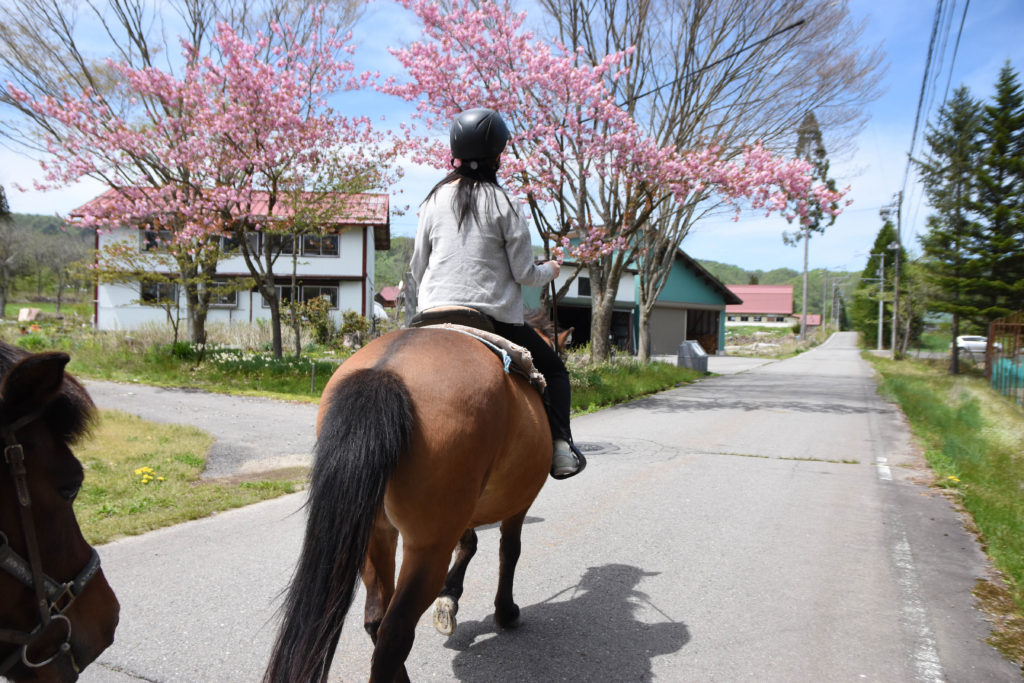 Hirugano-kogen Kisouma Bokujo_23